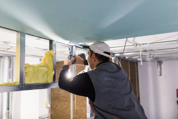 Best Blown-In Insulation  in Wernersville, PA